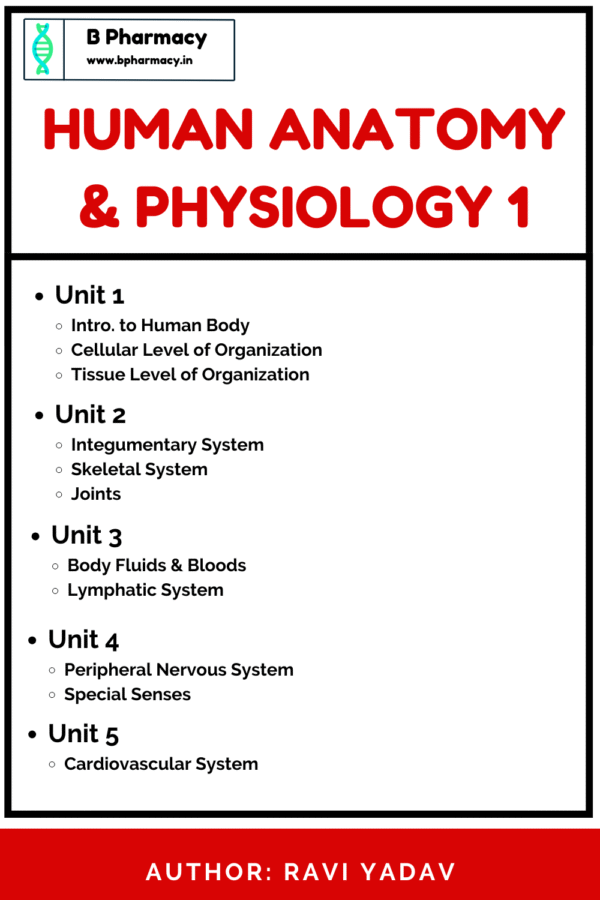 Human anatomy and Physiology 1 Notes