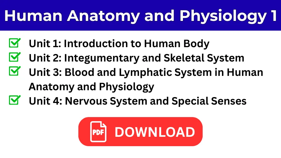 Human Anatomy and Physiology 1 B Pharmacy Semester 1 Notes